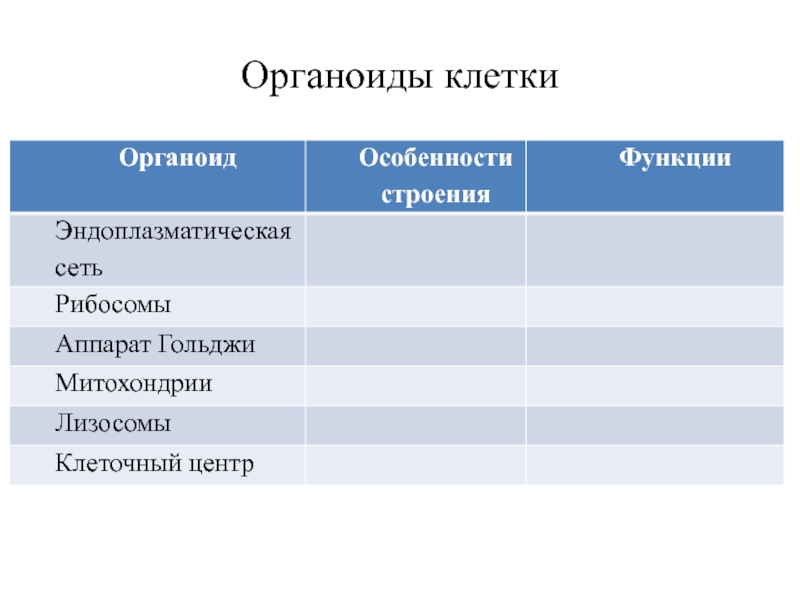 Особенности органоидов клетки. Органоиды и их функции. Строение органоидов. Характеристика органоидов клетки. Название органоида строение органоида функции.