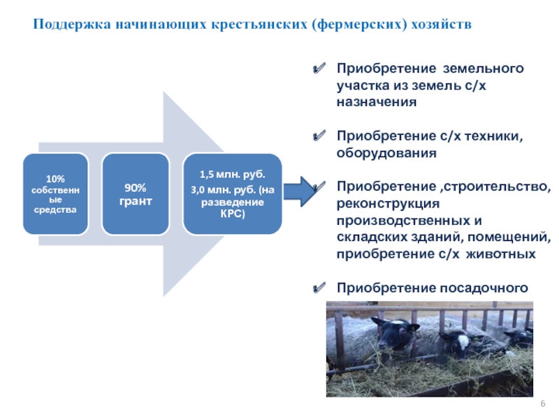 Правовой режим земель фермерских хозяйств. Крестьянское фермерское хозяйство уставной капитал. С чего начинается КФХ.