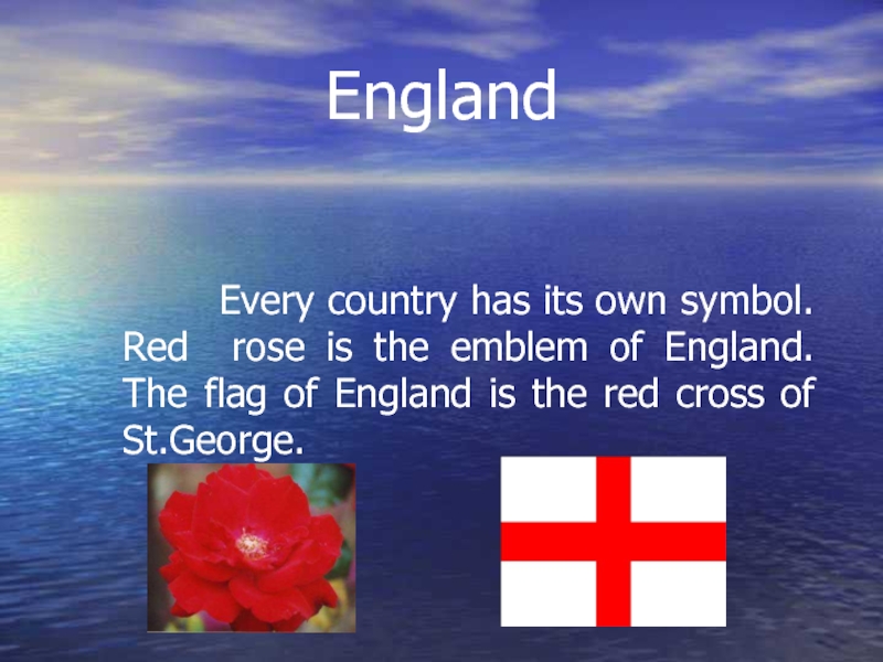 England      Every country has its own symbol. Red rose is the emblem
