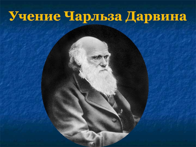 Учение Чарльза Дарвина