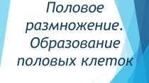 Половое размножение. Образование половых клеток