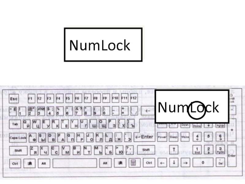 NumLockNumLock