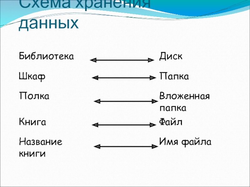 Файлы и папки 6 класс