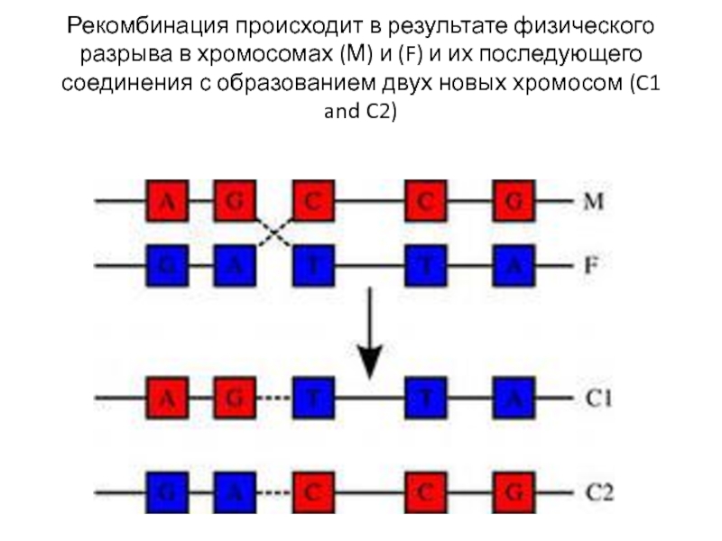 Рекомбинация в физике