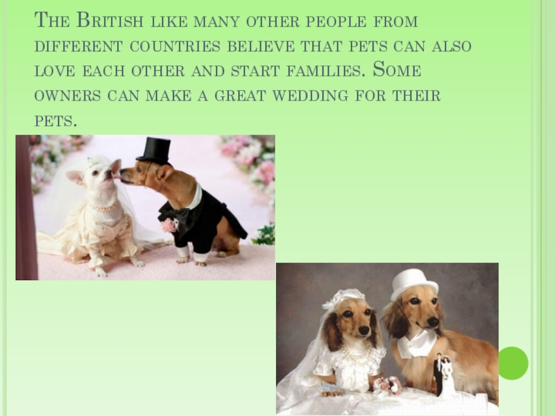 Pets презентация. British and their Pets. Pets in great Britain. The British and their Pets презентация 6 класс. British like Pets.