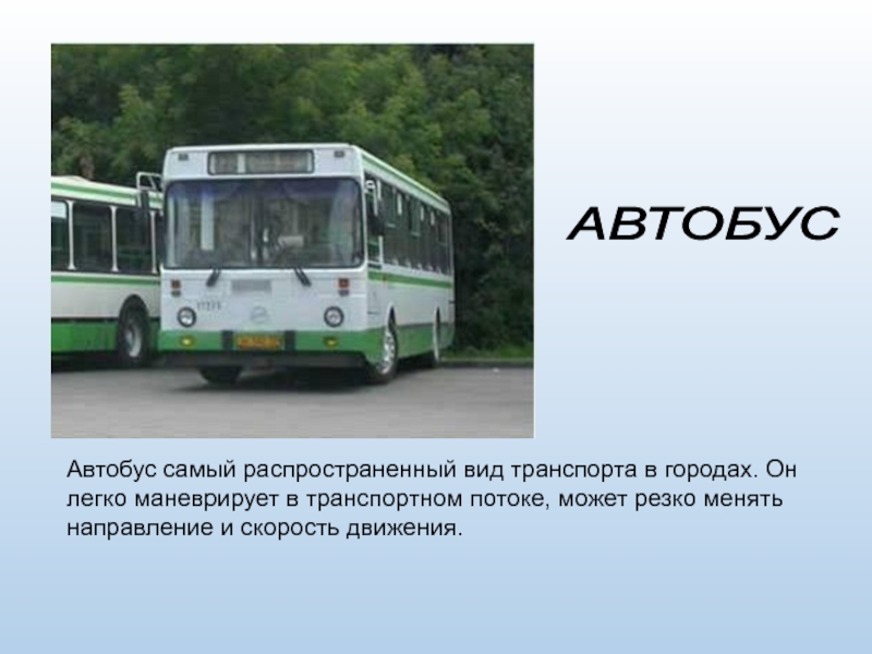 Автобус первую часть. Виды городского транспорта. Темы для презентации автобусы. Информация в автобусе. Автобус вид транспорта.