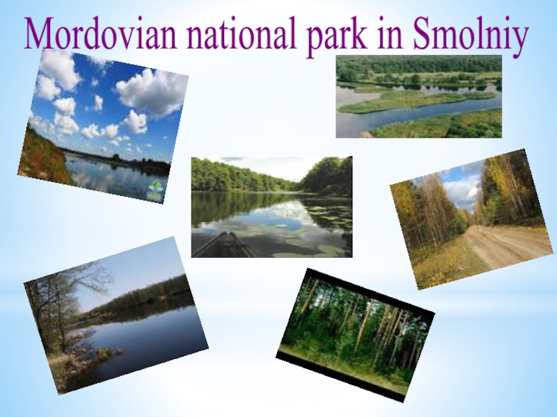 Mordovian national park in Smolniy
