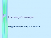 Где зимуют птицы? 1 класс