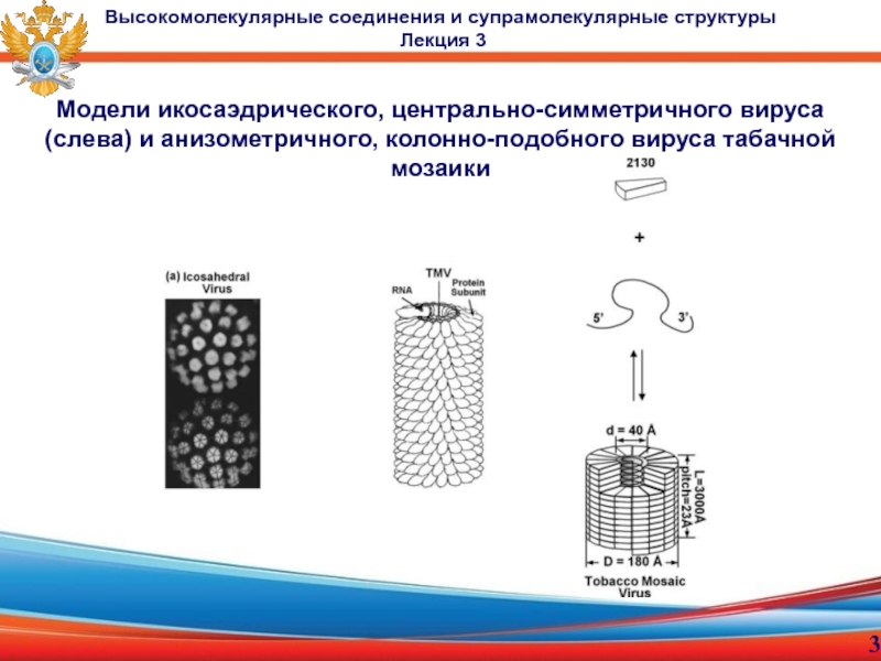 Процесс образования высокомолекулярного вещества. Вирус табачной мозаики строение. Супрамолекулярные соединения. Высокомолекулярные соединения. Супрамолекулярные структуры.