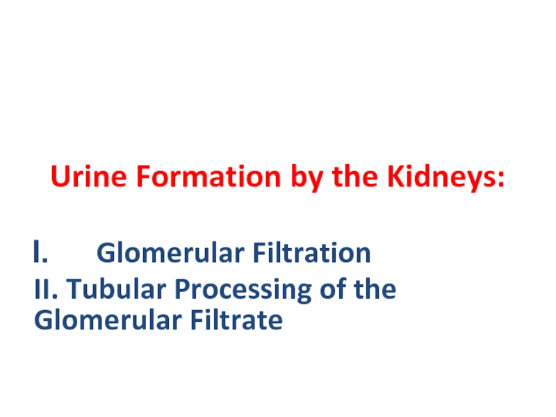 Презентация Urine Formation by the Kidneys: