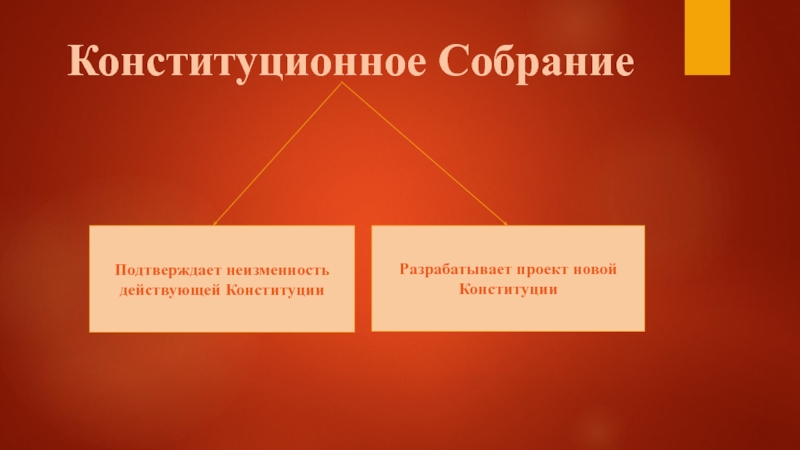 Проекты формирования конституционного собрания