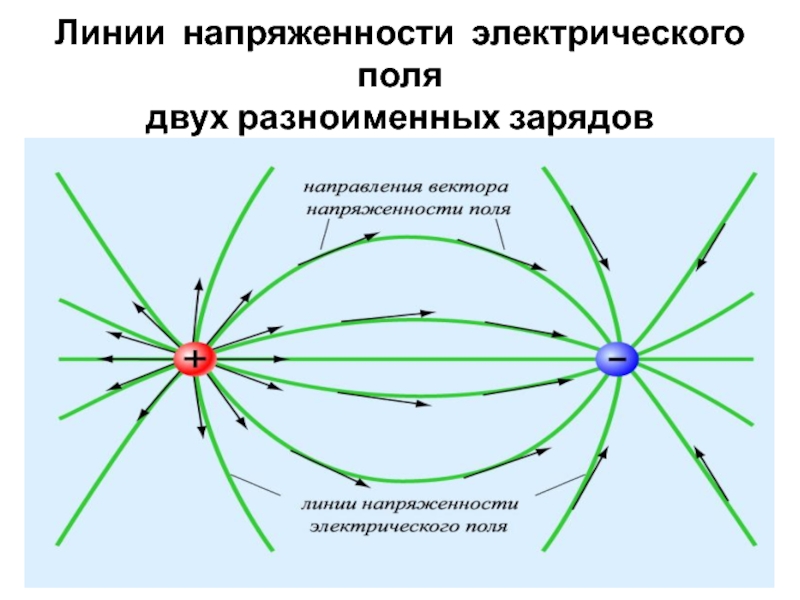 Линии напряженности начинаются на положительном заряде