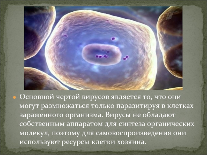 Основной чертой вирусов является то, что они могут размножаться только паразитируя в клетках зараженного организма. Вирусы не