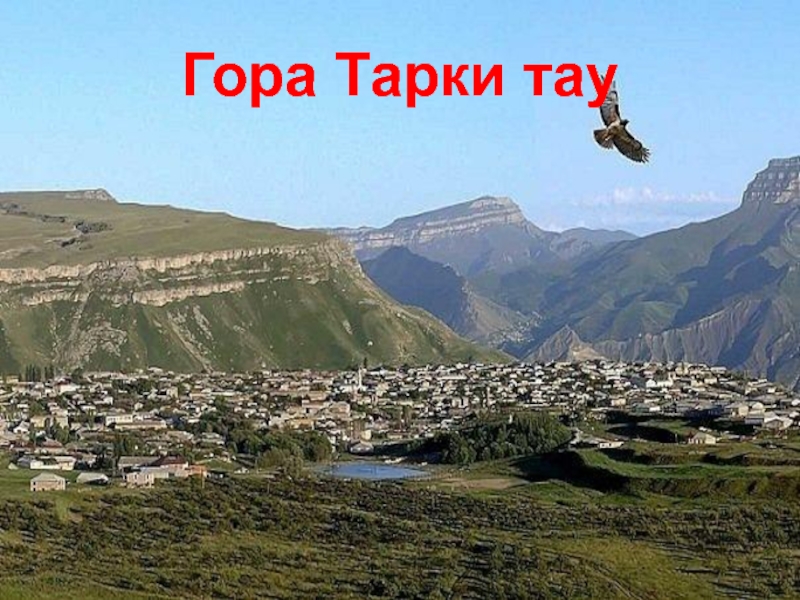 Гора тарки тау. Гора Тарки Тау в Дагестане. Тарки Тау Махачкала. Гора Тарки Тау в Махачкале смотровая площадка. Смотровая горы Тарки Тау Дагестан.