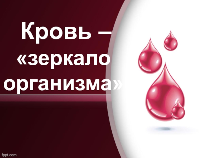 Презентация Кровь - зеркало организма