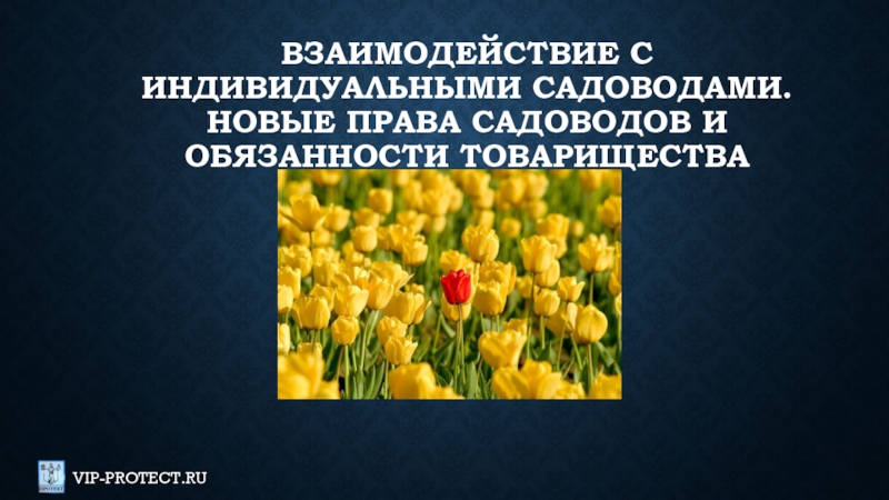 Взаимодействие с индивидуальными садоводами. Новые права садоводов и