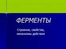 Ферменты 