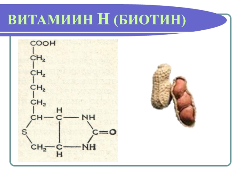 Биотин витамин н презентация