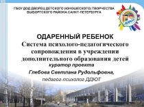 Одаренный ребенок. Система психолого-педагогического сопровождения в учреждении дополнительного образования детей