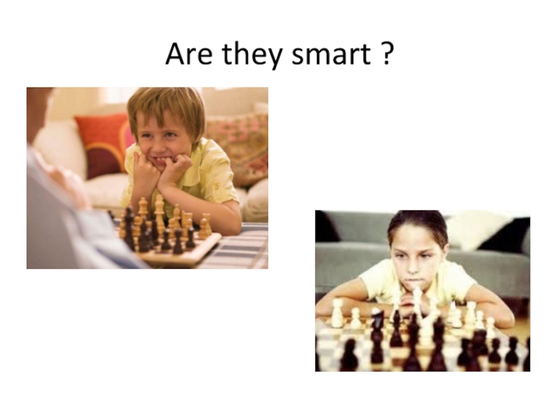 Are they smart ?