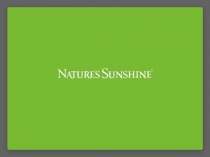 Хлорофилл Жидкий