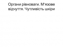 Органи р івноваги. М ’ язове відчуття. Чутливість шкіри