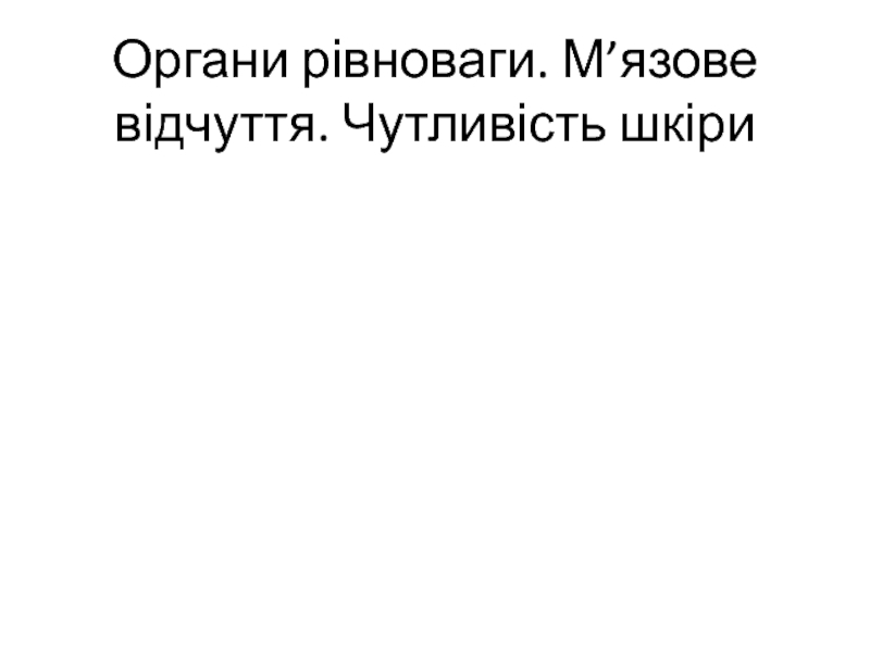 Органи р івноваги. М ’ язове відчуття. Чутливість шкіри