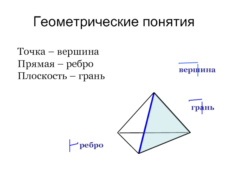 Грань плоскость ребро