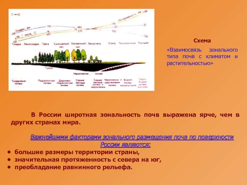 Главная причина широтной зональности изменение. Широтная зональность почв. Почвы России с севера на Юг. Зональное распределение почв России.
