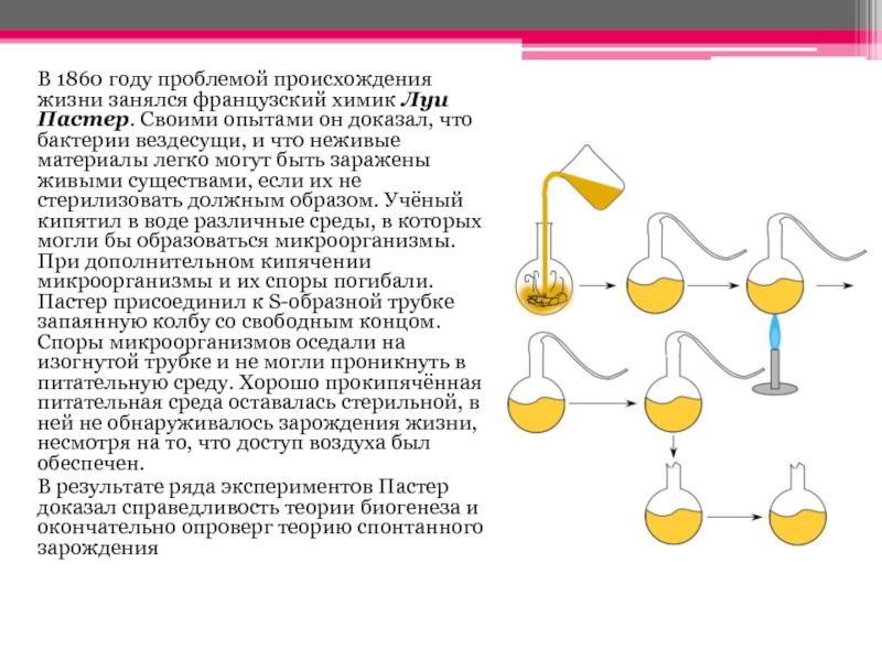 На рисунке показан опыт луи пастера какую теорию опроверг ученый этим опытом