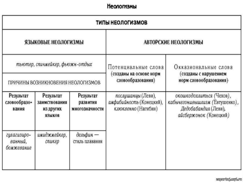 Функции неологизмов