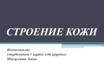 СТРОЕНИЕ КОЖИ