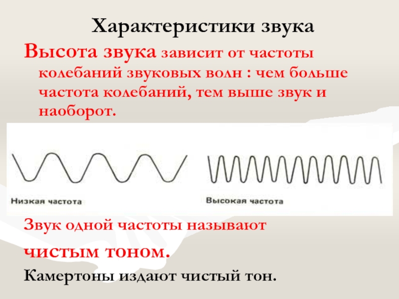 Тон звука зависит от частоты. Характеристики звуковой волны. Звуковые колебания. Характеристики звука физика. Свойства звуковых волн.