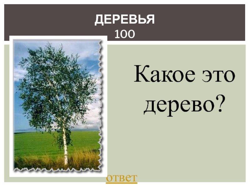 Дерева ответ. 100% Дерево. Дерево ответов. Ответы какой дерево. Было дерево как ответ.