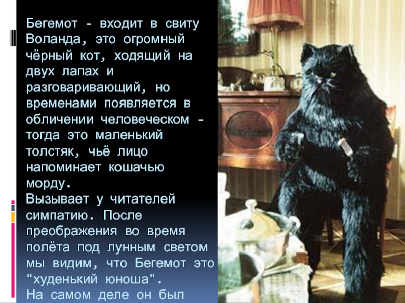 Бегемот - входит в свиту Воланда, это огромный чёрный кот, ходящий на двух лапах и разговаривающий, но
