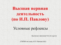 Высшая нервная деятельность (по И.П. Павлову)
