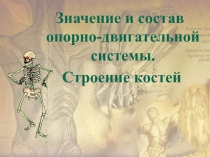 Значение и состав опорно-двигательной системы.
Строение костей