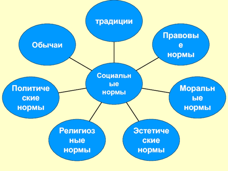 Виды соц норм схема