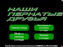 Наши пернатые друзья