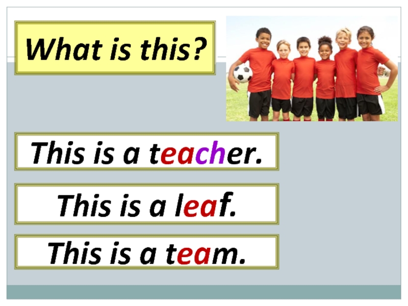 What is this? This is a leaf.This is a teacher.This is a team.