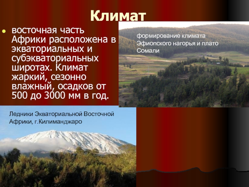 Восточная африка презентация. Климат Восточной Африки. Особенности природы Восточной Африки. Природные особенности Восточной Африки.. Восточная Африка презентация 7 класс география.