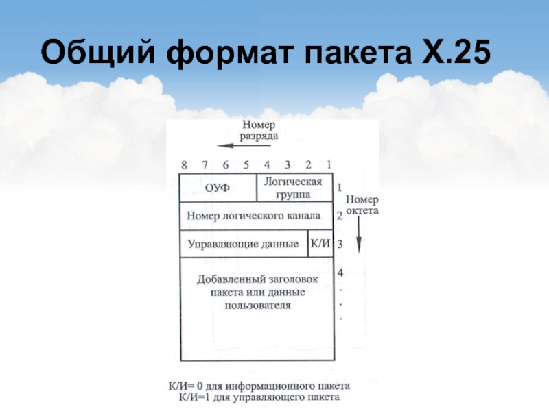 Общий формат. Форматы пакетов. Обобщенный Формат пакета. Формат пакета USB.