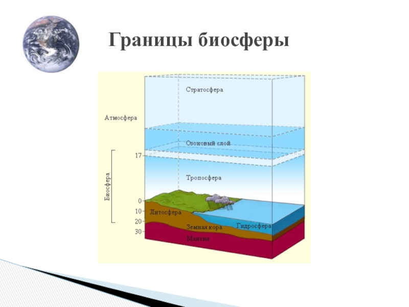 Рисунок границы биосферы 6 класс