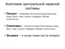 Анатомия центральной нервной системы