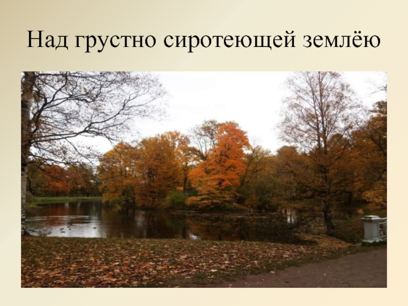 Поэзия родной природы 8 класс урок презентация. Над грустно-сиротеющей землею,. Поэзия родной природы в русской литературе 19 века 8 класс. Грустная сиротеющая земля. Грустно сиротеющая земля.