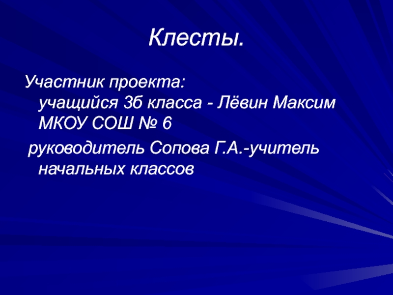 Проект по внеурочной деятельности 