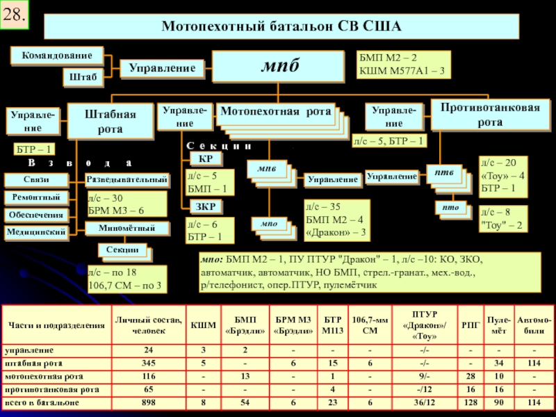 Техник подразделения. Мотопехотный батальон. Организация мотопехотного батальона США. Организация МПБ США. Мотопехотная рота США.