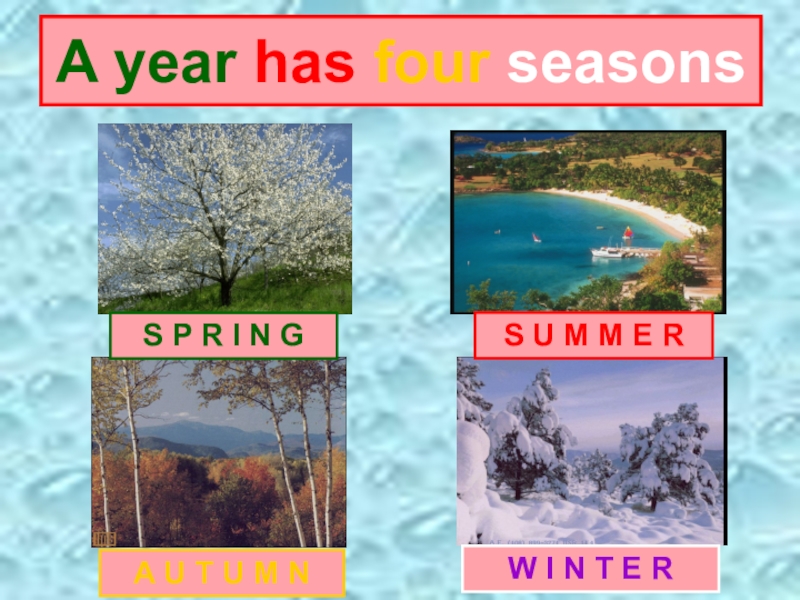 Класс времена года презентация. 4 Seasons in a year. The year has four. A year has four Seasons. Выписать словосочетания. Seasons Spring periods of time the Future.