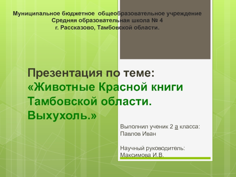 Презентация Животные Красной книги Тамбовской области. Выхухоль 2 класс