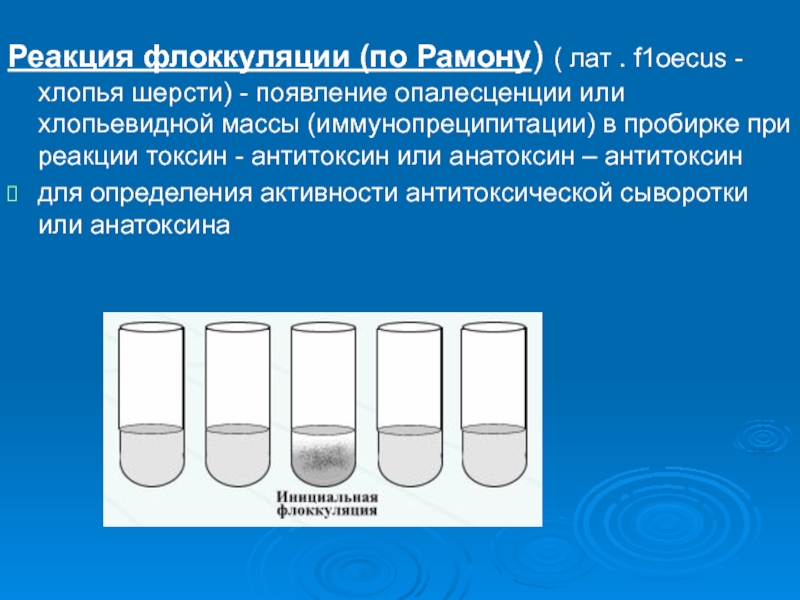 Реакция нейтрализации иммунология схема